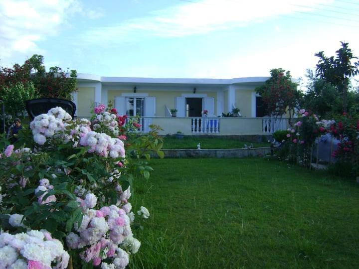 Zante Summer Retreats - Marietta'S Apartment2 Drosia Kypseli Zewnętrze zdjęcie